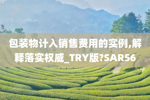 包装物计入销售费用的实例,解释落实权威_TRY版?SAR56