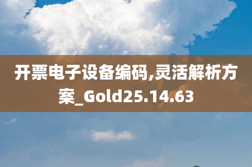 开票电子设备编码,灵活解析方案_Gold25.14.63