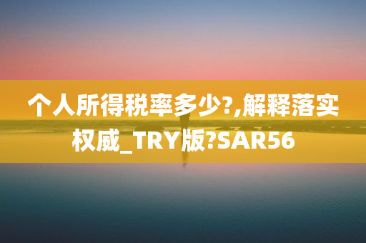 个人所得税率多少?,解释落实权威_TRY版?SAR56