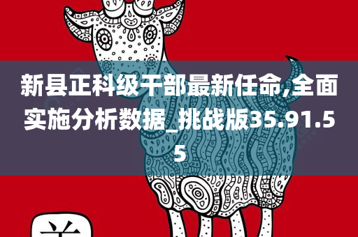 新县正科级干部最新任命,全面实施分析数据_挑战版35.91.55