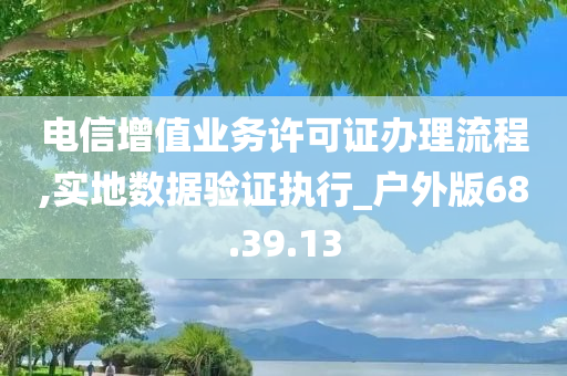 电信增值业务许可证办理流程,实地数据验证执行_户外版68.39.13