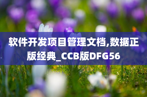 软件开发项目管理文档,数据正版经典_CCB版DFG56