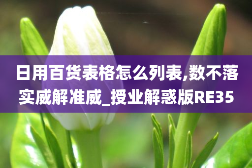 日用百货表格怎么列表,数不落实威解准威_授业解惑版RE35