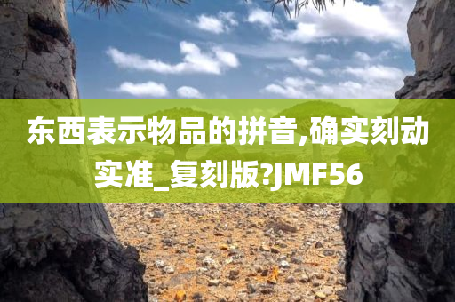 东西表示物品的拼音,确实刻动实准_复刻版?JMF56