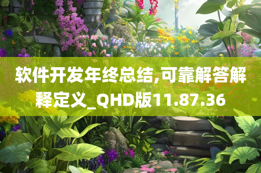 软件开发年终总结,可靠解答解释定义_QHD版11.87.36