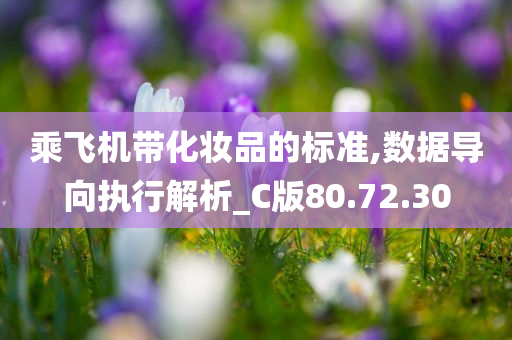 乘飞机带化妆品的标准,数据导向执行解析_C版80.72.30