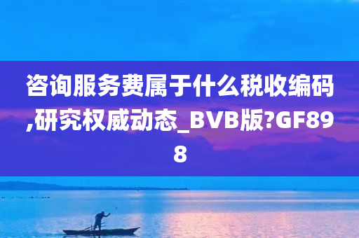 咨询服务费属于什么税收编码,研究权威动态_BVB版?GF898