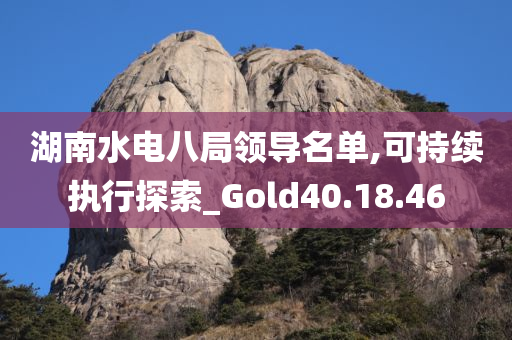 湖南水电八局领导名单,可持续执行探索_Gold40.18.46