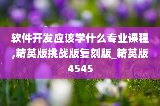 软件开发应该学什么专业课程,精英版挑战版复刻版_精英版4545