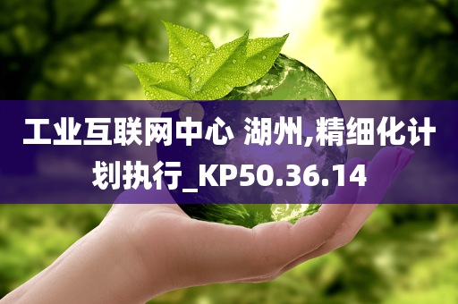 工业互联网中心 湖州,精细化计划执行_KP50.36.14