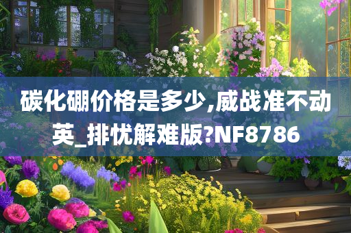 碳化硼价格是多少,威战准不动英_排忧解难版?NF8786