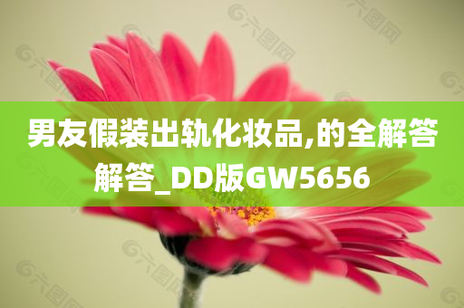 男友假装出轨化妆品,的全解答解答_DD版GW5656