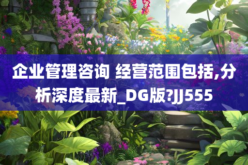 企业管理咨询 经营范围包括,分析深度最新_DG版?JJ555