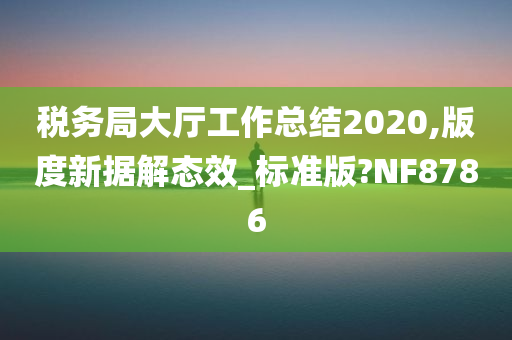 税务局大厅工作总结2020,版度新据解态效_标准版?NF8786