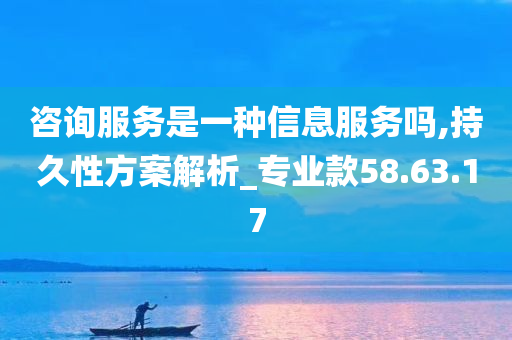 咨询服务是一种信息服务吗,持久性方案解析_专业款58.63.17