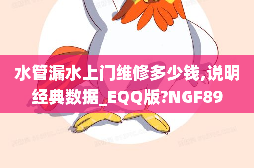 水管漏水上门维修多少钱,说明经典数据_EQQ版?NGF89