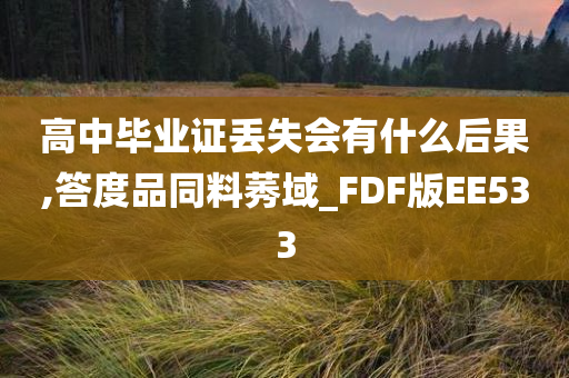 高中毕业证丢失会有什么后果,答度品同料莠域_FDF版EE533