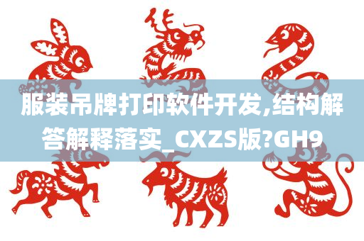 服装吊牌打印软件开发,结构解答解释落实_CXZS版?GH9