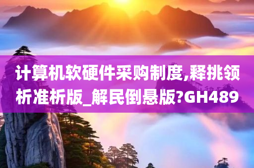 计算机软硬件采购制度,释挑领析准析版_解民倒悬版?GH489