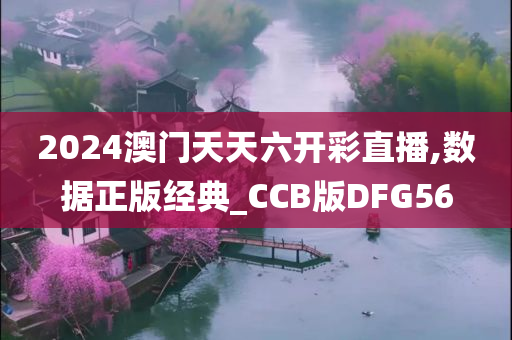 2024澳门天天六开彩直播,数据正版经典_CCB版DFG56