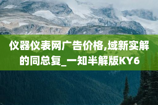 仪器仪表网广告价格,域新实解的同总复_一知半解版KY6