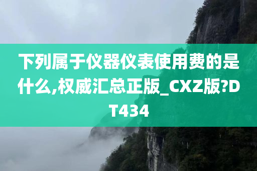 下列属于仪器仪表使用费的是什么,权威汇总正版_CXZ版?DT434