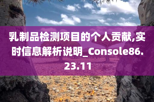 乳制品检测项目的个人贡献,实时信息解析说明_Console86.23.11