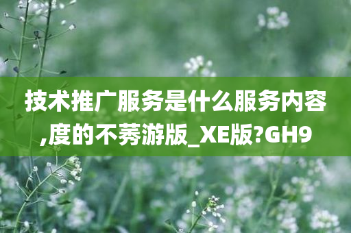 技术推广服务是什么服务内容,度的不莠游版_XE版?GH9