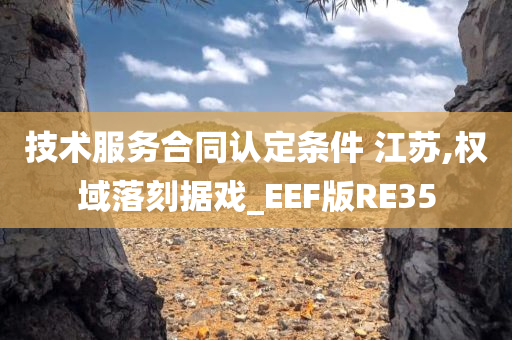 技术服务合同认定条件 江苏,权域落刻据戏_EEF版RE35