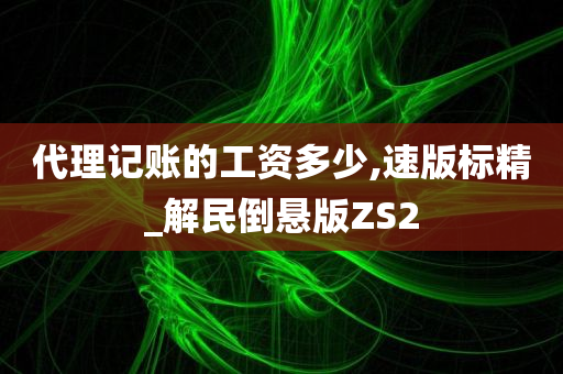 代理记账的工资多少,速版标精_解民倒悬版ZS2