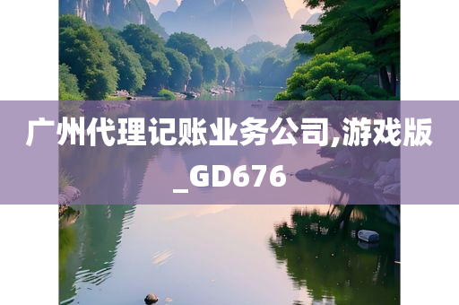 广州代理记账业务公司,游戏版_GD676