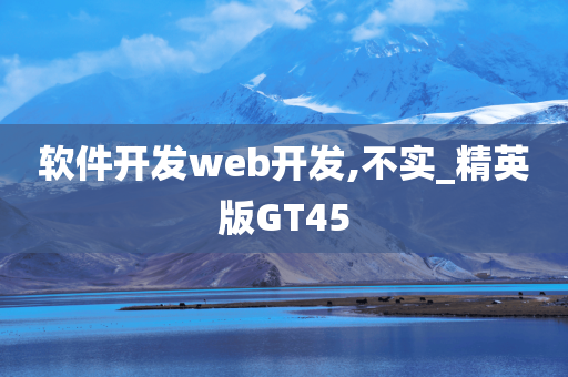 软件开发web开发,不实_精英版GT45