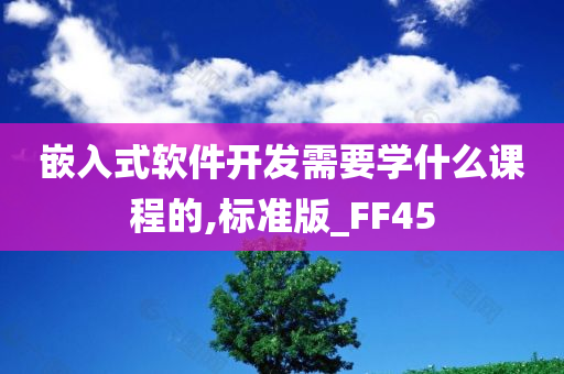 嵌入式软件开发需要学什么课程的,标准版_FF45