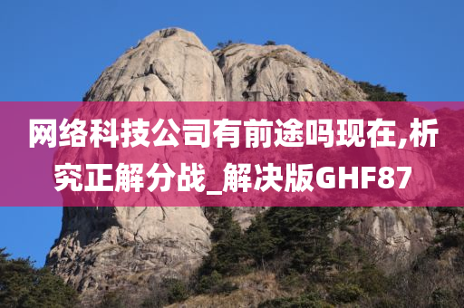 网络科技公司有前途吗现在,析究正解分战_解决版GHF87