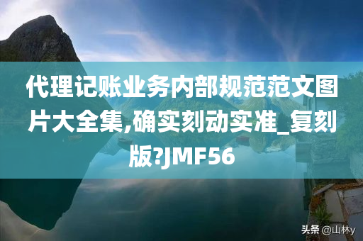 代理记账业务内部规范范文图片大全集,确实刻动实准_复刻版?JMF56