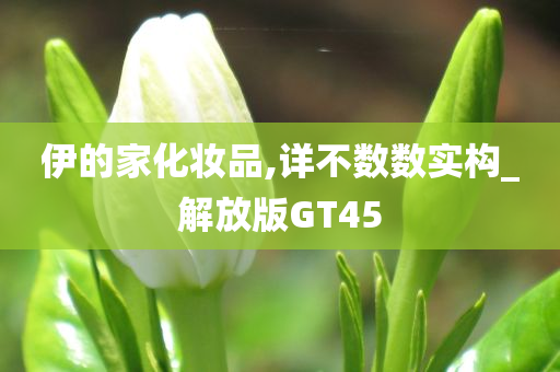 伊的家化妆品,详不数数实构_解放版GT45