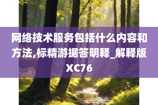 网络技术服务包括什么内容和方法,标精游据答明释_解释版XC76