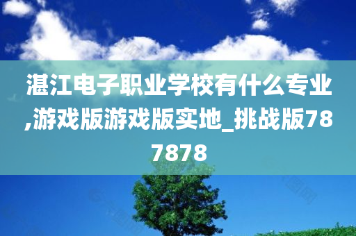 湛江电子职业学校有什么专业,游戏版游戏版实地_挑战版787878