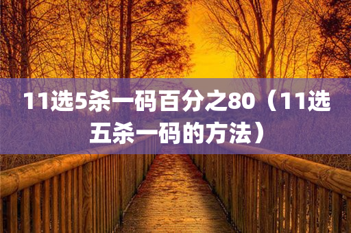 11选5杀一码百分之80（11选五杀一码的方法）