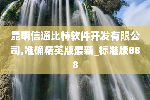 昆明信通比特软件开发有限公司,准确精英版最新_标准版888