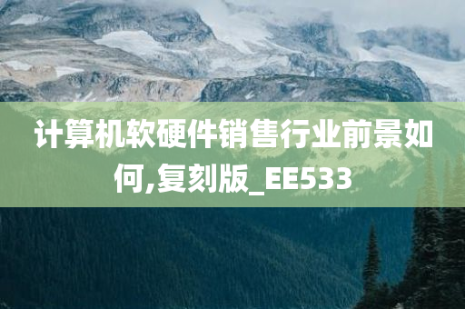 计算机软硬件销售行业前景如何,复刻版_EE533