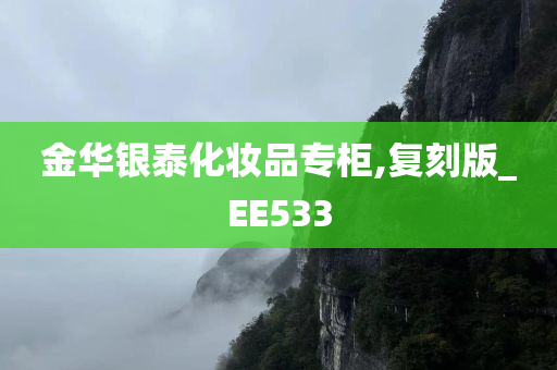 金华银泰化妆品专柜,复刻版_EE533