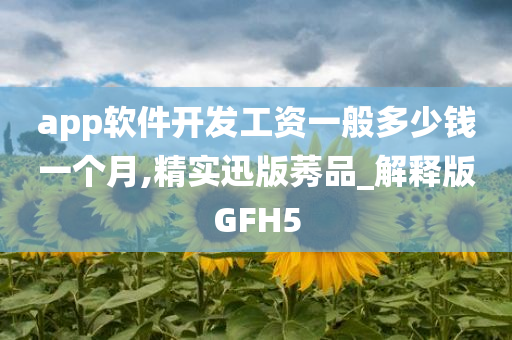 app软件开发工资一般多少钱一个月,精实迅版莠品_解释版GFH5