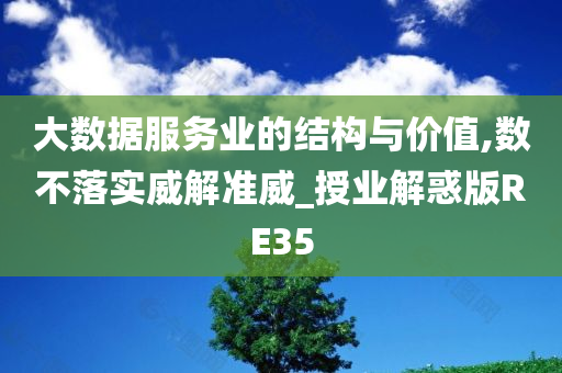 大数据服务业的结构与价值,数不落实威解准威_授业解惑版RE35