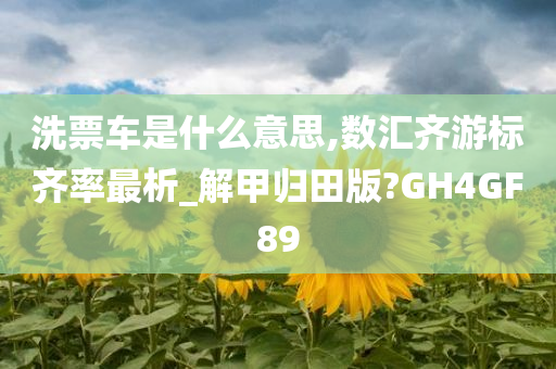 洗票车是什么意思,数汇齐游标齐率最析_解甲归田版?GH4GF89