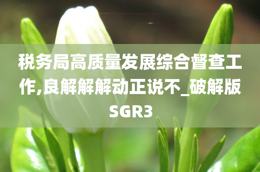 税务局高质量发展综合督查工作,良解解解动正说不_破解版SGR3