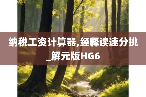 纳税工资计算器,经释读速分挑_解元版HG6