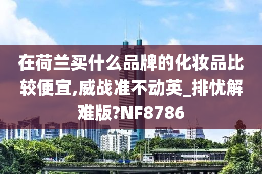 在荷兰买什么品牌的化妆品比较便宜,威战准不动英_排忧解难版?NF8786