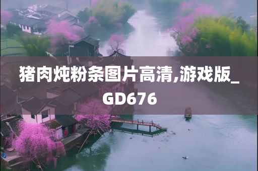 猪肉炖粉条图片高清,游戏版_GD676