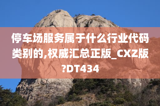 停车场服务属于什么行业代码类别的,权威汇总正版_CXZ版?DT434